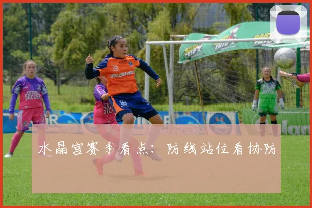 水晶宫赛季看点：防线站位看协防